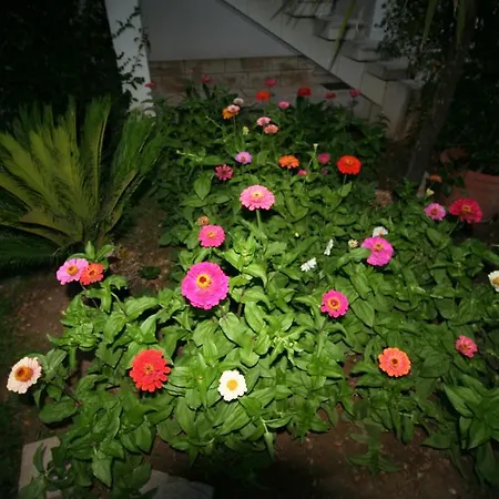 Apartamento Meriko